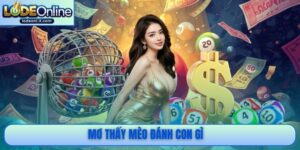 Mơ thấy mèo đánh số mấy