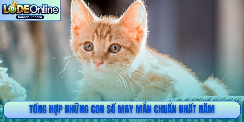 Tổng hợp những con số may mắn chuẩn nhất năm